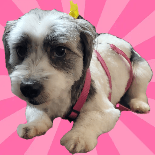 Sticker Image