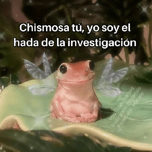 De S Ƭ I C K Σ R S // P21 12
