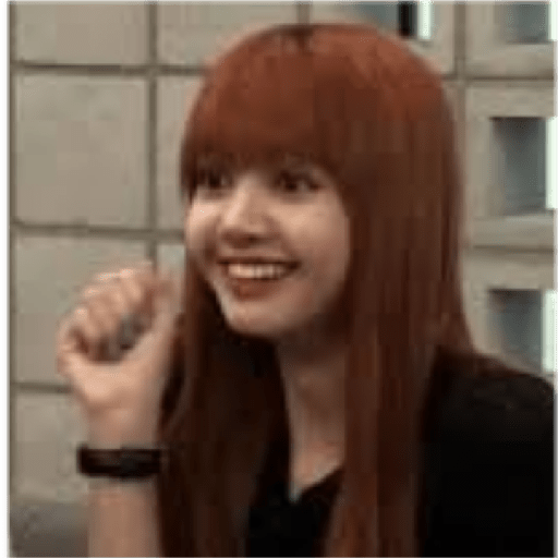 Blackpink memes 20