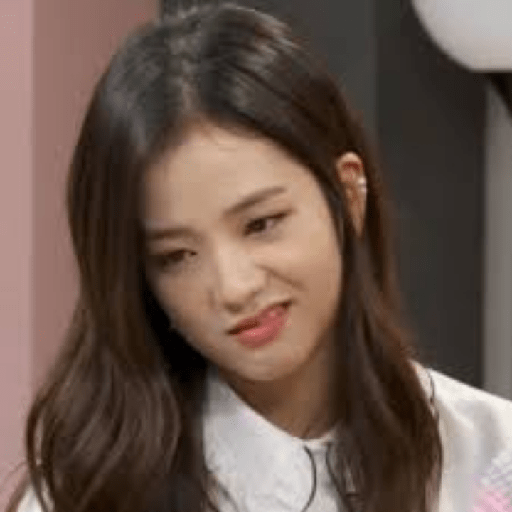 Blackpink memes 23