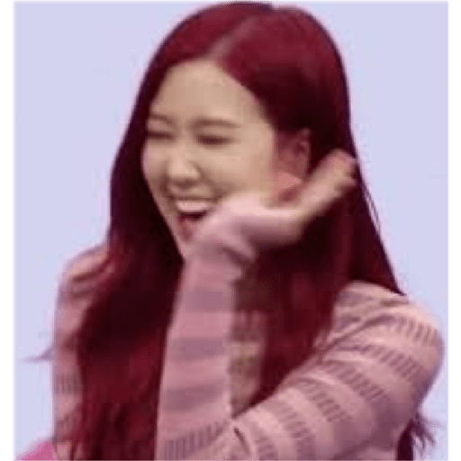 Blackpink memes 18