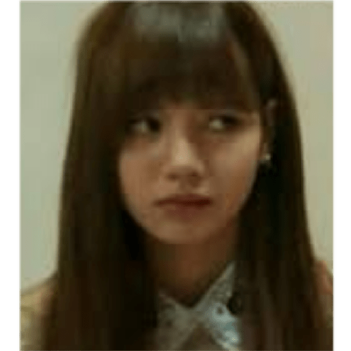 Blackpink memes 19