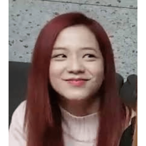 Blackpink memes 29