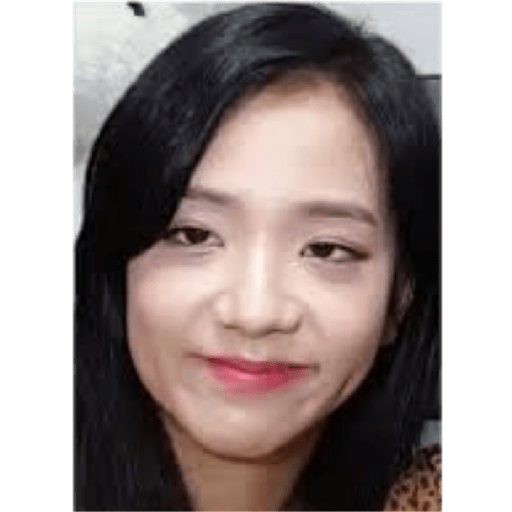 Blackpink memes 28