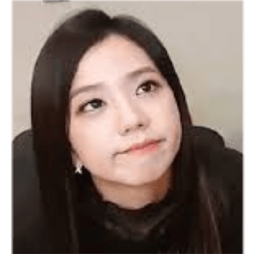 Blackpink memes 24