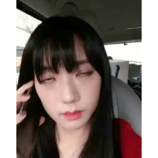 Blackpink memes 21