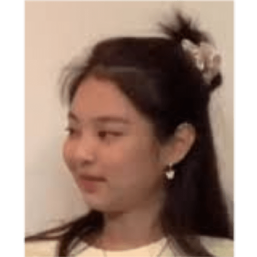 Blackpink memes 12