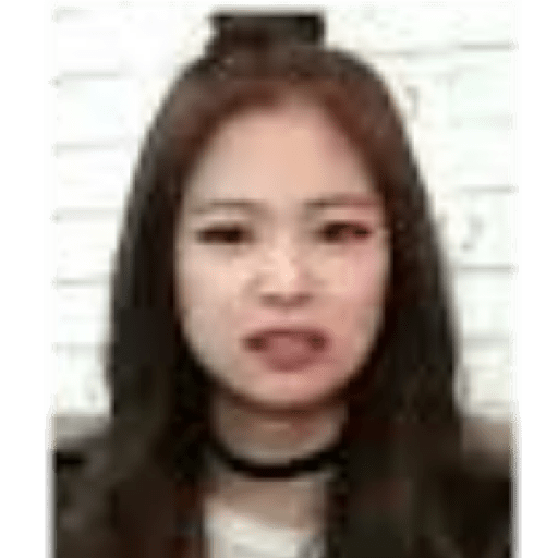 Blackpink memes 6