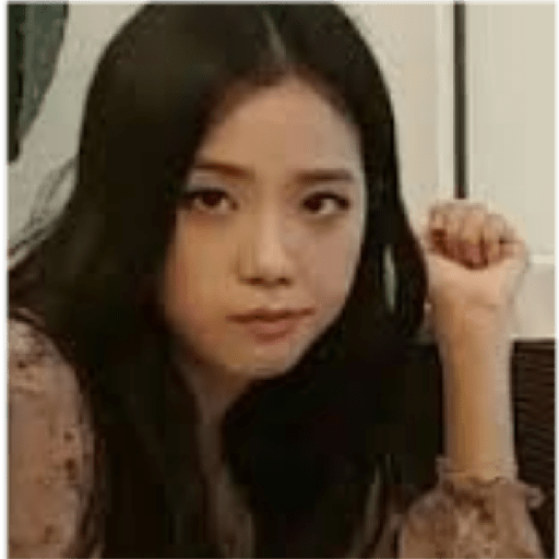 Blackpink memes 26