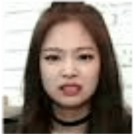 Blackpink memes 8