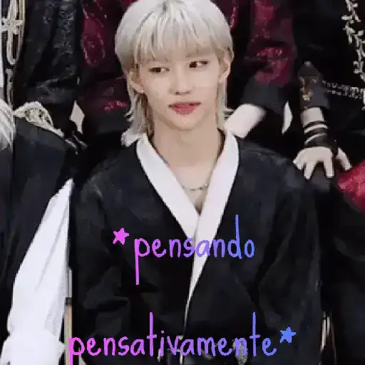 Stray kids tus patrones 13