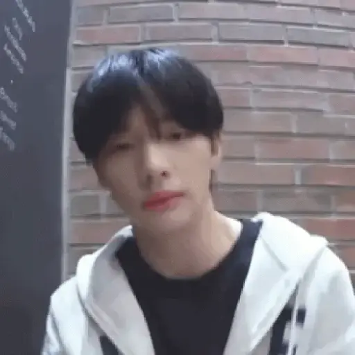 Stray kids tus patrones 7