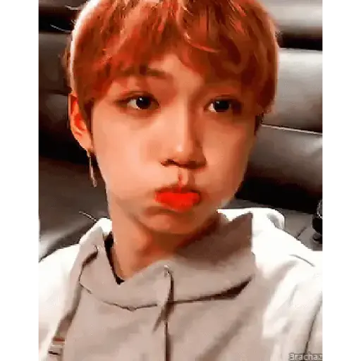 Stray kids tus patrones 14