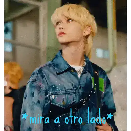 Stray kids tus patrones 8