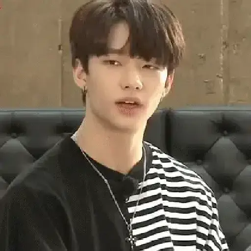 Stray kids tus patrones 10