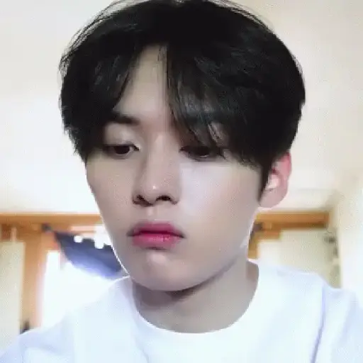 Stray kids tus patrones 4
