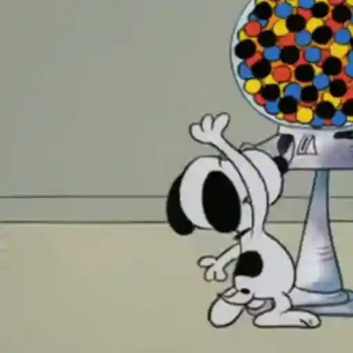 Snoopy/hayley 20