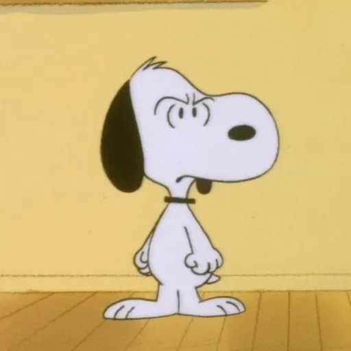 Snoopy/hayley 2