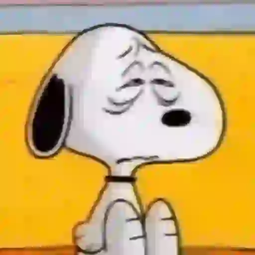 Snoopy/hayley 17