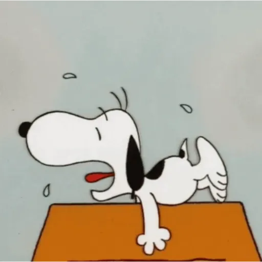 Snoopy/hayley 12