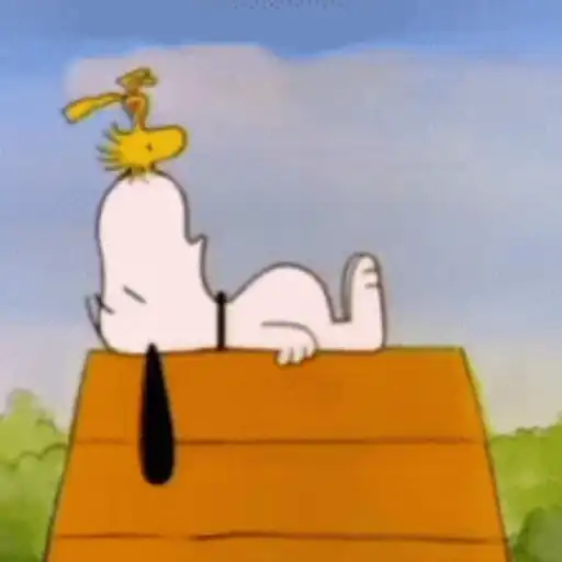 Snoopy/hayley 6