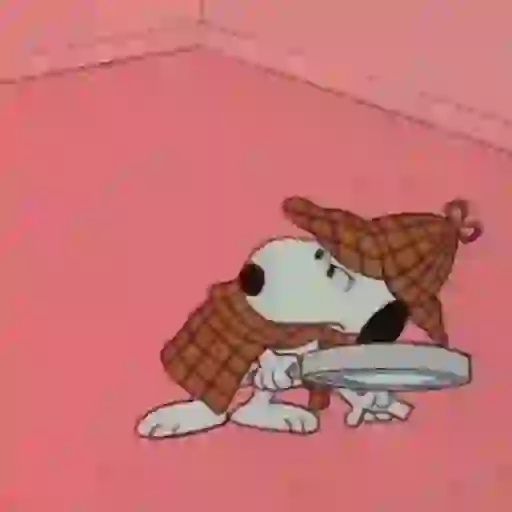 Snoopy/hayley 9