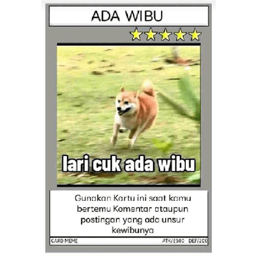 Wibuh 4