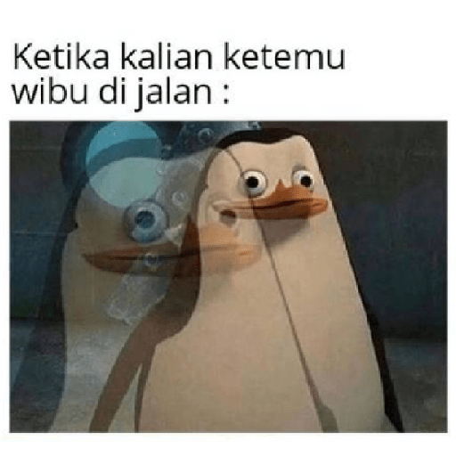 Wibuh 9