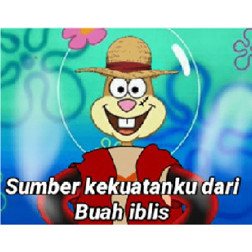 Wibuh 27