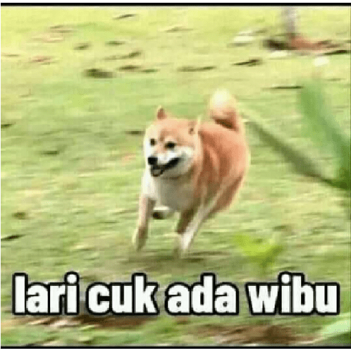 Wibuh 8