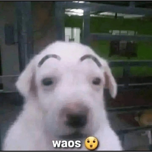 Jidkso 25