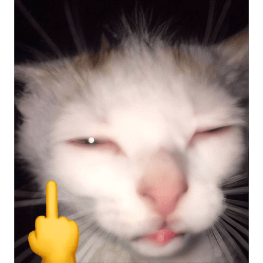 Joomok🗿🤌 3