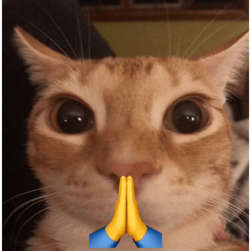 Joomok🗿🤌 4