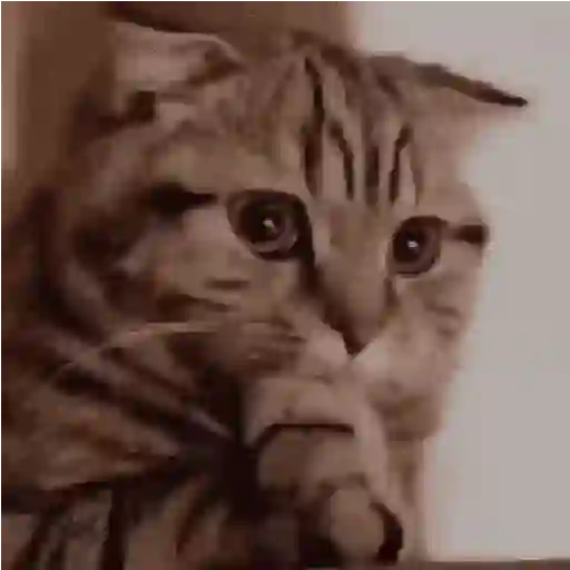 Emogin6 20