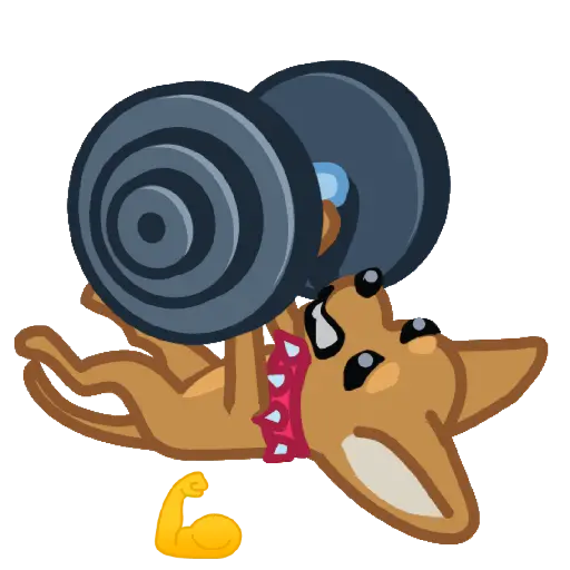 GiF 8