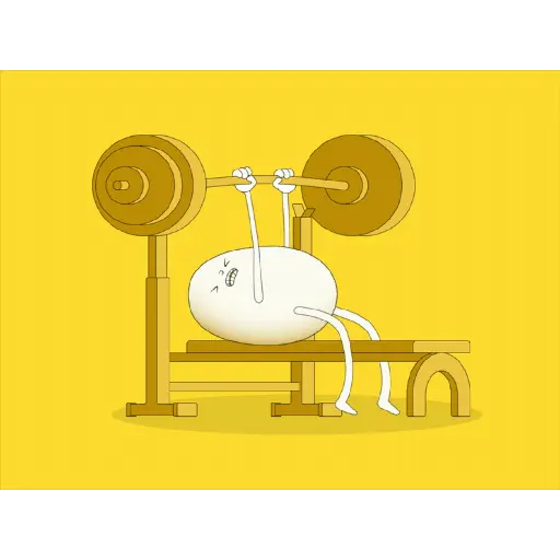 GiF 13