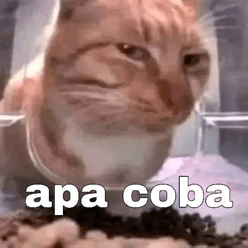 Meme fresh random_3 4