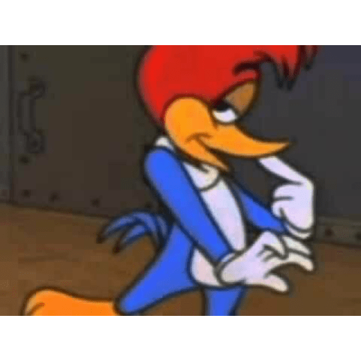 Pica pau 5