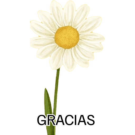 Mis pegatinas 9