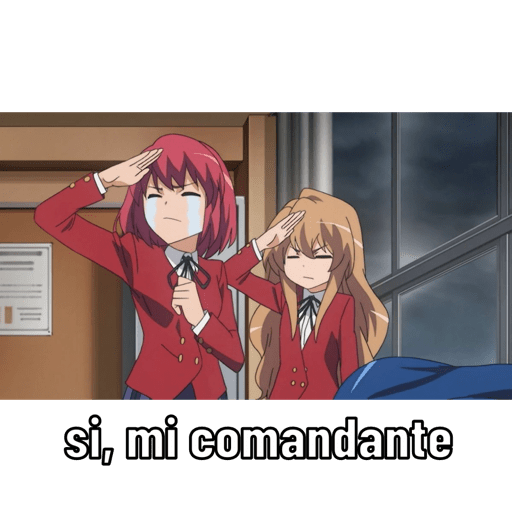 Nova 14