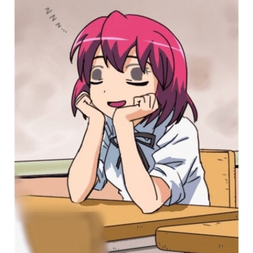 Nova 19