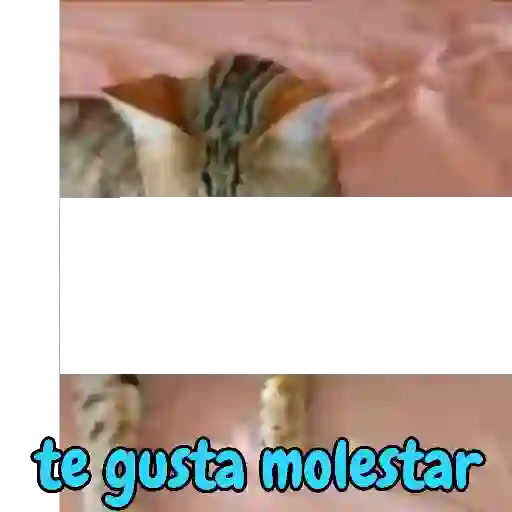 Abril 2021 25