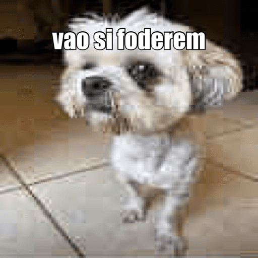 Só merda kkkk 25