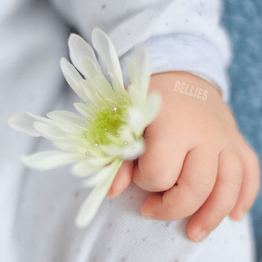 Amor para Ti 🌼♥️🌼