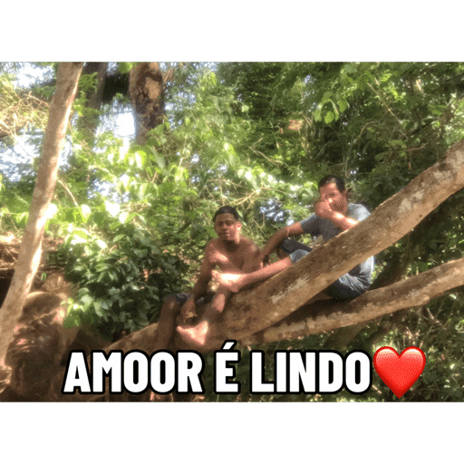 Minhas figurinhas 18