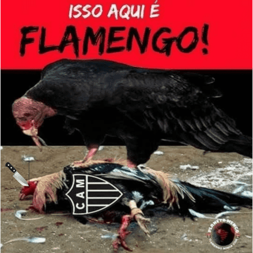 Flamengo 13