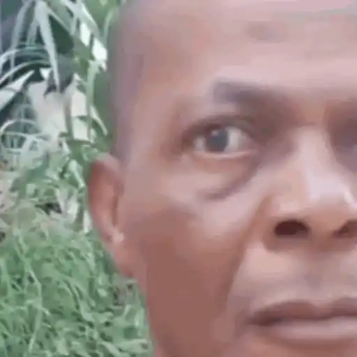 Anel Gif  21