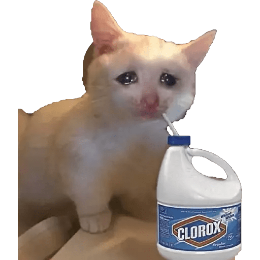 Gatitos sad 1