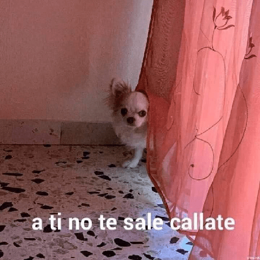 Pero que haya morras chidas 13