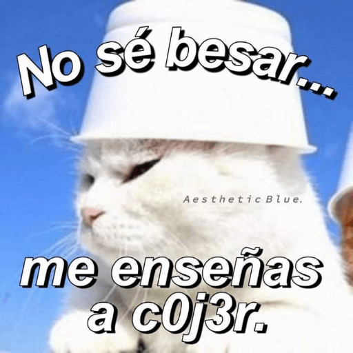Pero que haya morras chidas 5